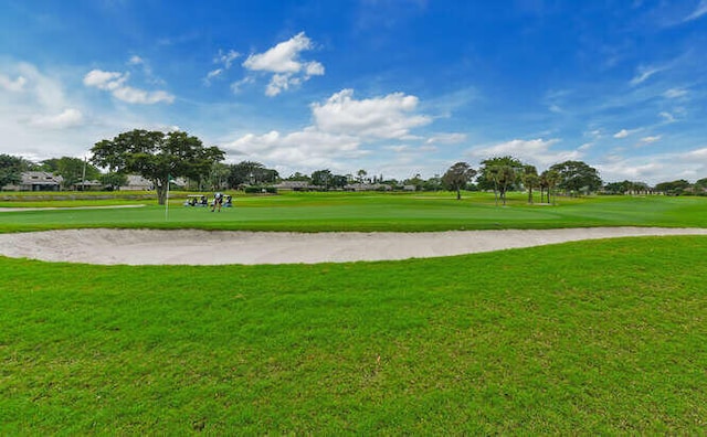 view of community featuring a yard