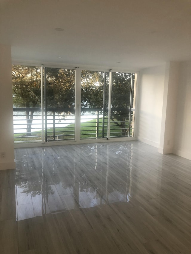 unfurnished room with plenty of natural light and wood-type flooring