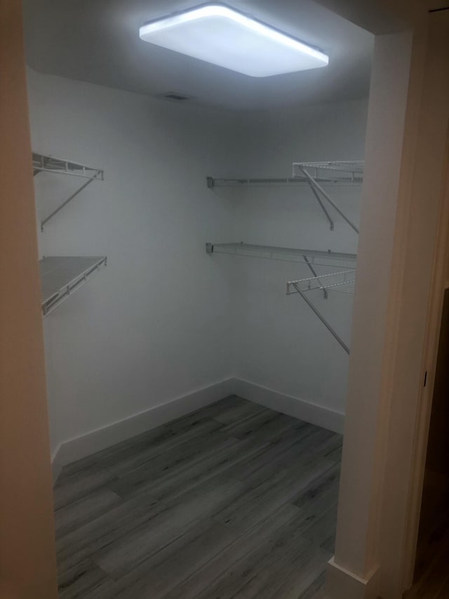 walk in closet featuring hardwood / wood-style flooring