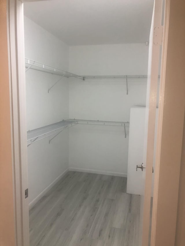 walk in closet featuring light hardwood / wood-style floors