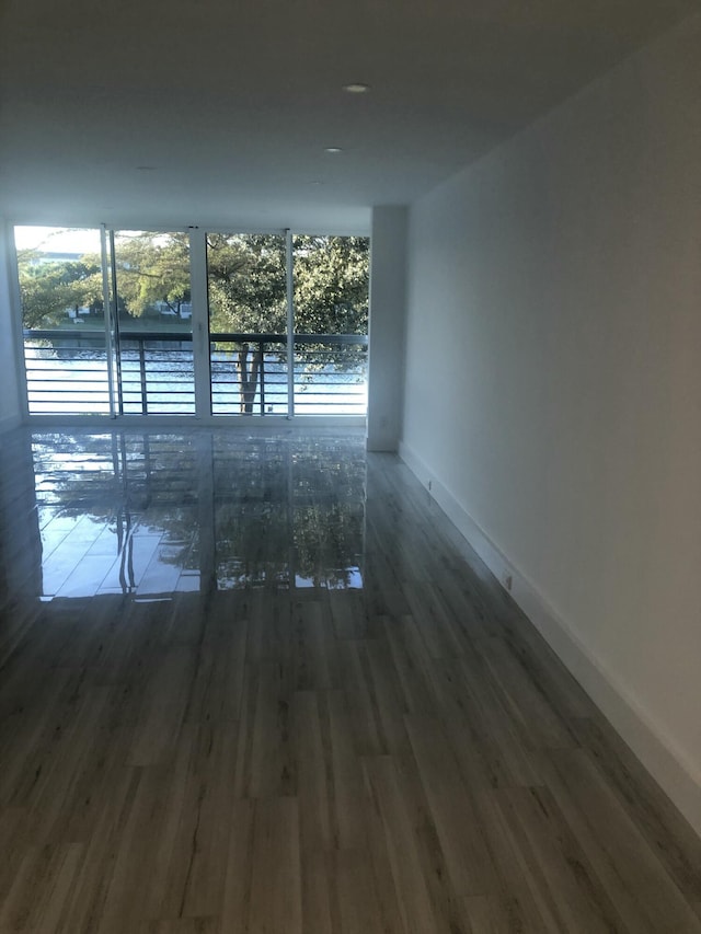 spare room featuring plenty of natural light, dark hardwood / wood-style floors, and a water view