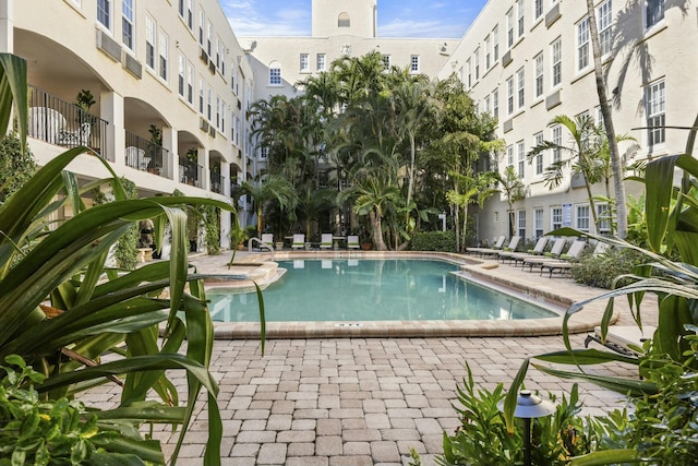 view of pool featuring a patio area