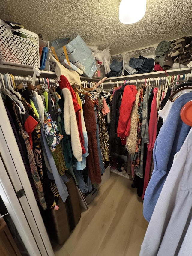 spacious closet featuring wood-type flooring