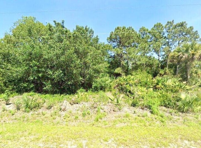 445 S Palomino St, Clewiston FL, 33440 land for sale