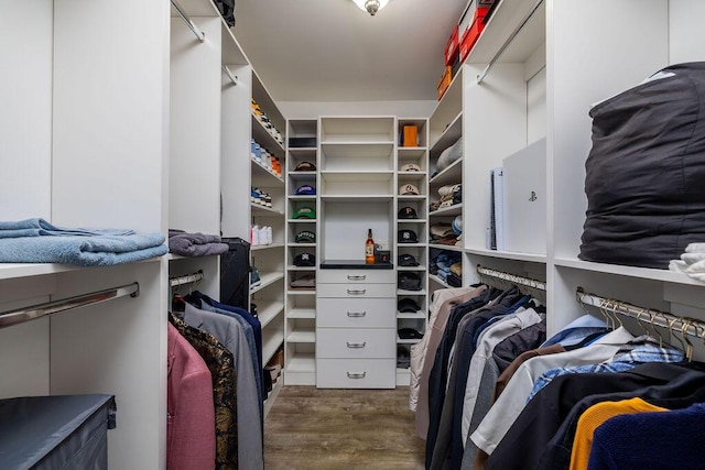 walk in closet featuring dark wood-type flooring