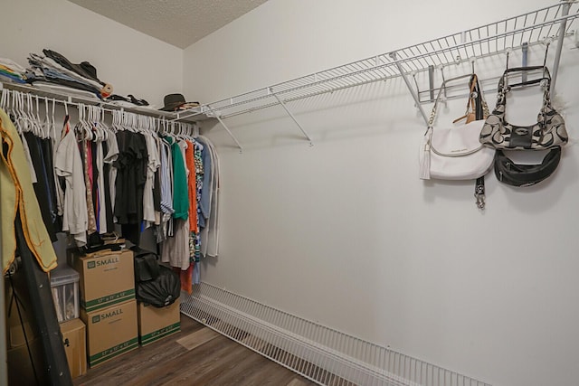 walk in closet featuring dark wood-type flooring