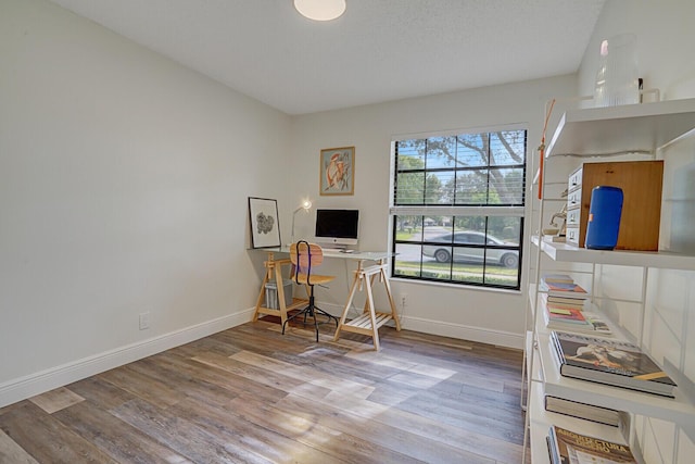 office with hardwood / wood-style floors