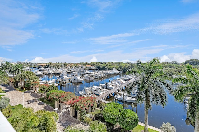 water view featuring a boat dock