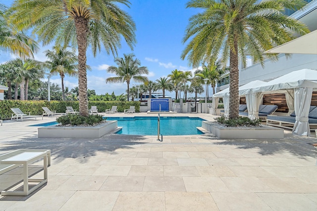 view of swimming pool with a patio