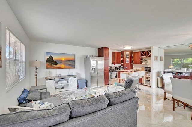 living room with a wealth of natural light