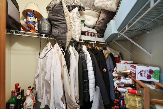 view of spacious closet