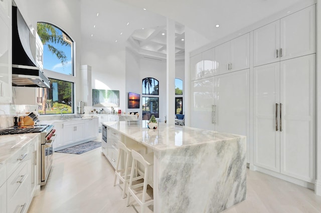 kitchen with white cabinetry, light stone countertops, a high ceiling, a kitchen island, and stainless steel stove