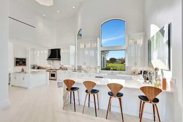 kitchen featuring premium range hood, white cabinetry, tasteful backsplash, and high end stainless steel range