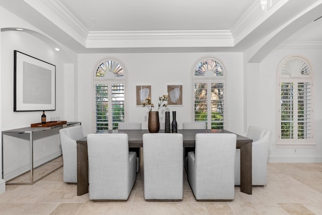 dining area with a tray ceiling and a wealth of natural light