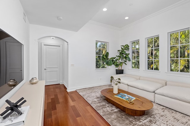 living room featuring wood-type flooring and ornamental molding