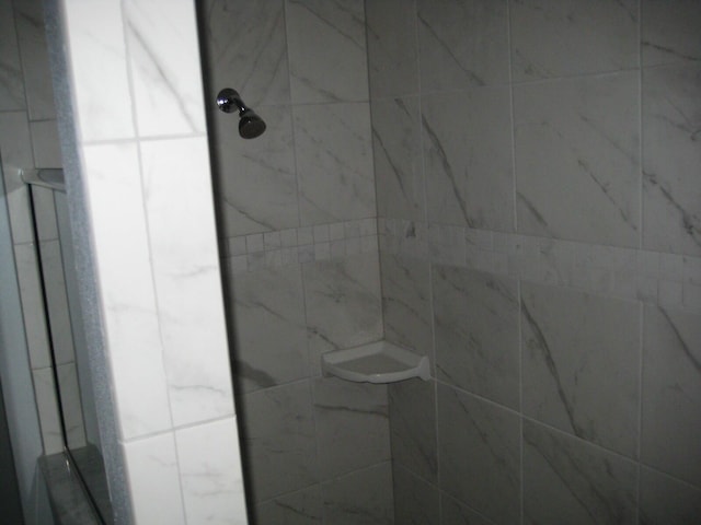 interior details featuring tiled shower