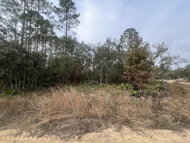 0 Robin Rd, Interlachen FL, 32148 land for sale