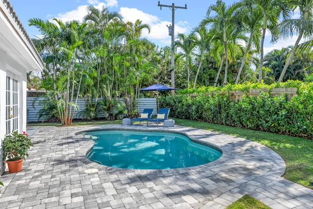 view of swimming pool featuring a patio