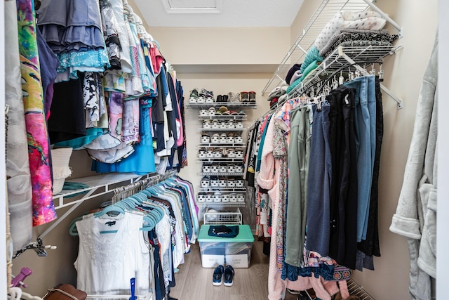 spacious closet featuring wood-type flooring