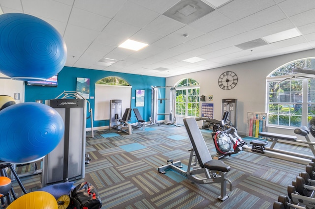 exercise room with carpet floors, plenty of natural light, and a paneled ceiling