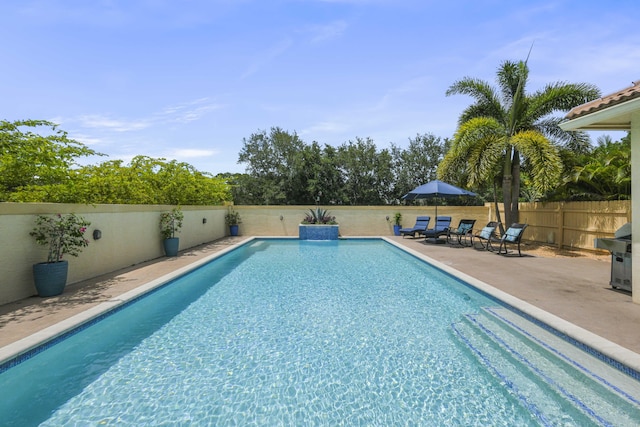 view of pool featuring a patio