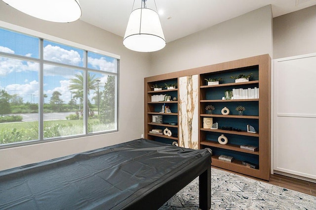 recreation room featuring hardwood / wood-style floors and billiards