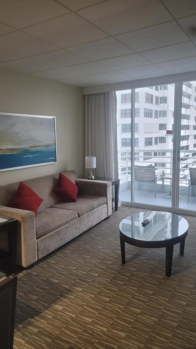 carpeted living room with a paneled ceiling, plenty of natural light, and floor to ceiling windows