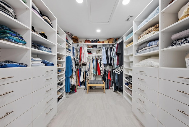 view of spacious closet