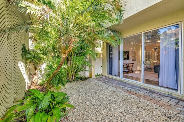 view of yard featuring a patio