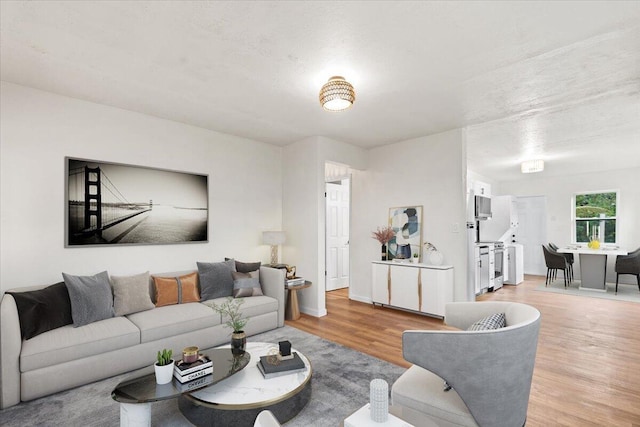 living room with hardwood / wood-style flooring