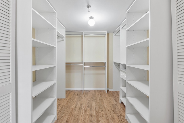 spacious closet with light hardwood / wood-style flooring