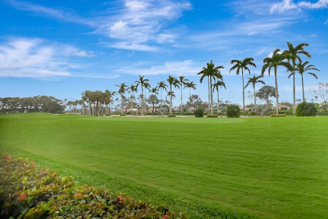 surrounding community featuring a lawn