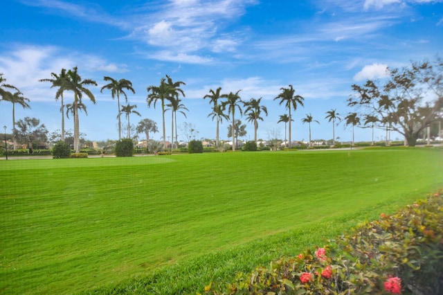 view of community featuring a lawn