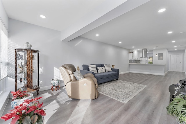 living room featuring light hardwood / wood-style floors and electric panel