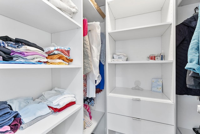 view of walk in closet