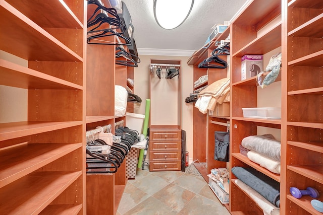 view of walk in closet