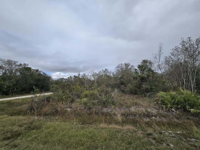 17593 NW 282nd St, Okeechobee FL, 34972 land for sale