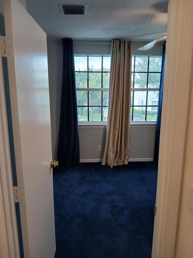 carpeted empty room featuring a healthy amount of sunlight and a textured ceiling