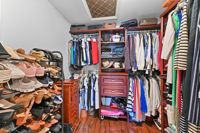 spacious closet featuring dark wood-type flooring