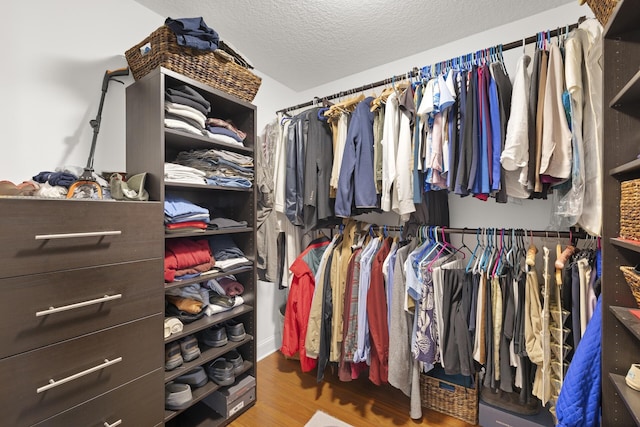 spacious closet featuring hardwood / wood-style flooring