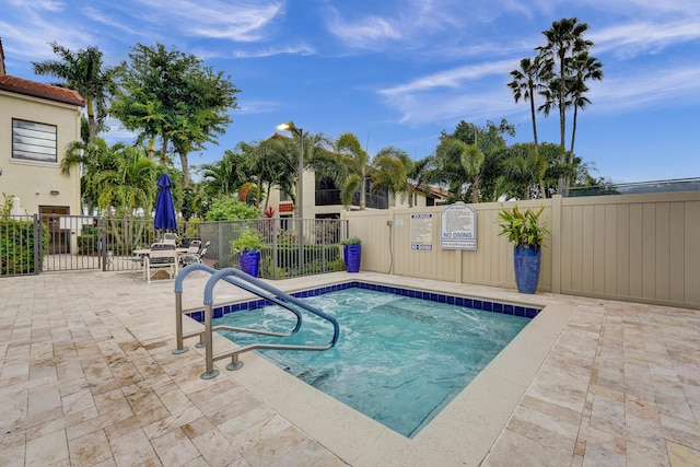 view of swimming pool featuring a patio