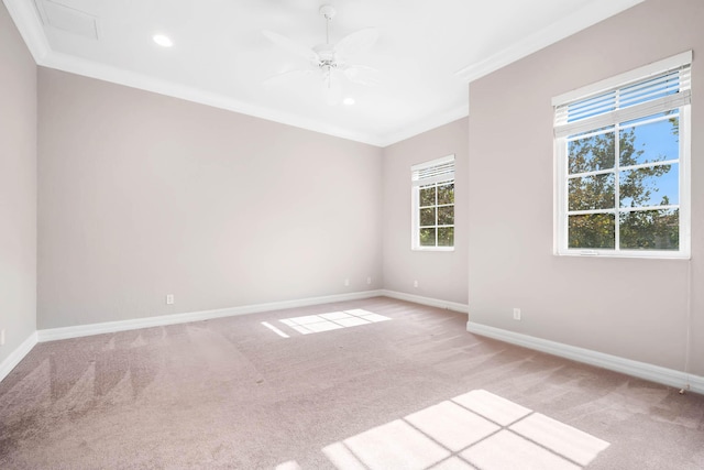 carpeted empty room with ceiling fan and crown molding