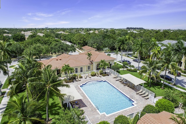 view of swimming pool with a patio