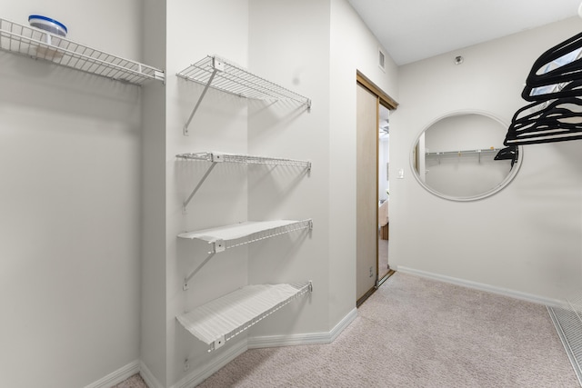 spacious closet with light colored carpet