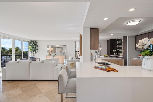 living room featuring sink