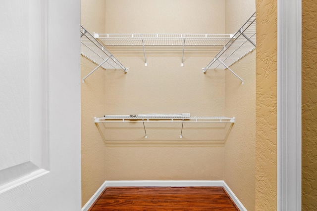 walk in closet with hardwood / wood-style floors