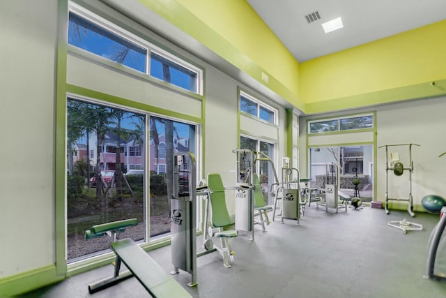 exercise room featuring a high ceiling