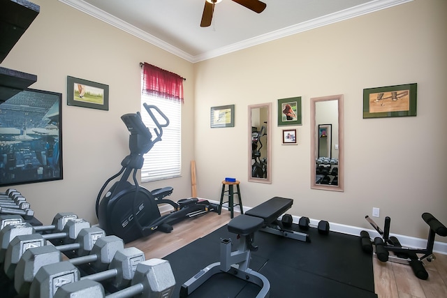 workout area with hardwood / wood-style floors, ceiling fan, and ornamental molding