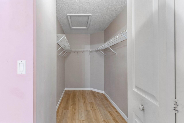 spacious closet featuring light wood-style floors