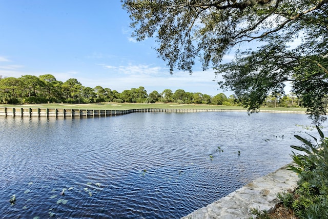 view of water feature